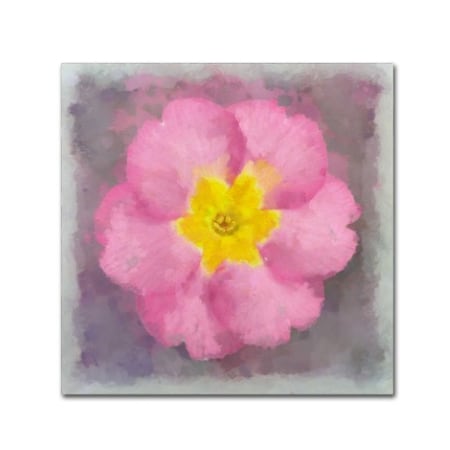 Cora Niele 'Primrose Pink' Canvas Art,14x14